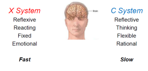 Diagram of the two brain systems.