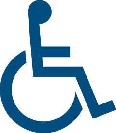 Handicap icon