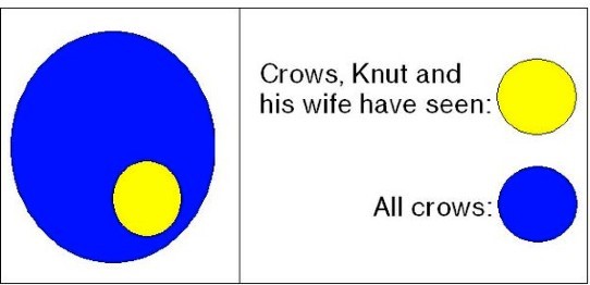 Crows Knut and his wife have seen compared to all crows.