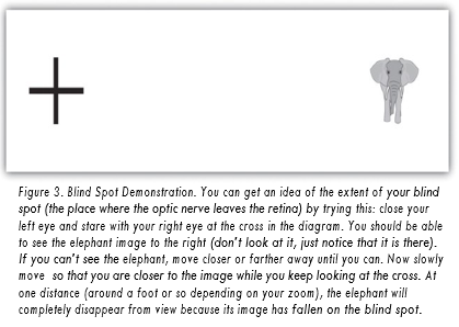 Blind Spot Demonstration with a plus and elephant.