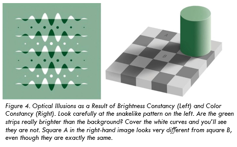 Brightness Constancy Illusion (left) and Color Constancy Illusion (right)