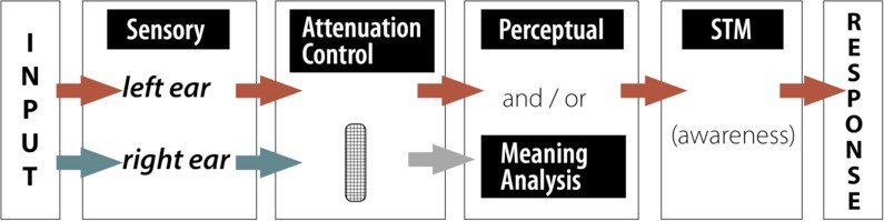 Treisman's Attentuation Model