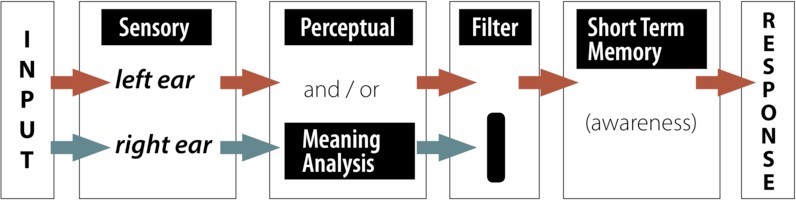 Deutsch and Deutsch (1963) Late Selection Model