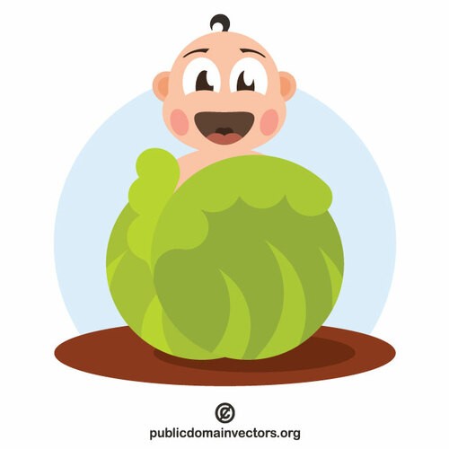 A kid hiding behind cabbage