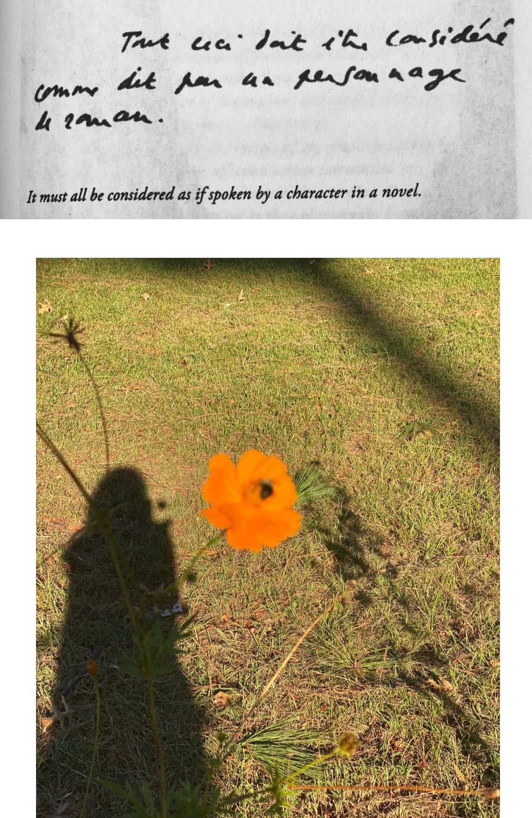 Collage containing a quotation from John Barthes at the top and an image of a person's shadow next to an orange flower at the bottom of the collage.