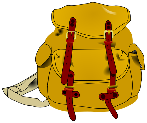 A backpack