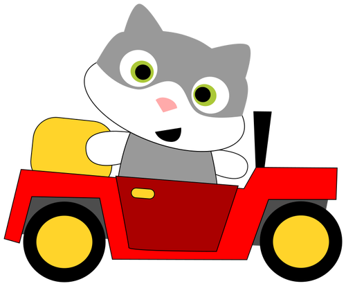 A cat driving a car