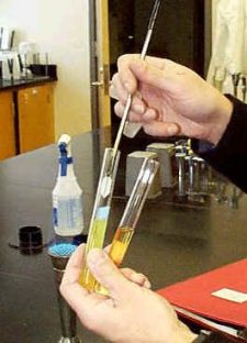 Lab 1: Aseptic Technique – BI302 Clinical Microbiology Lab Manual