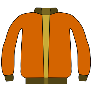 Orange sports jacket
